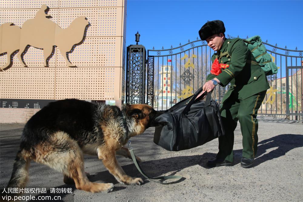 老兵退伍警犬咬行李不放 &ldquo;无言战友&rdquo;重感情【4】