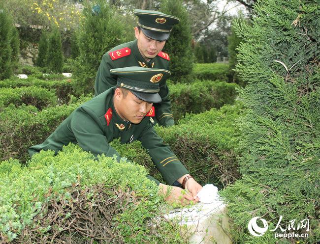 浙江海警官兵在烈士墓前敬献了鲜花
